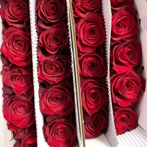 Chinese Flowers; Red Roses